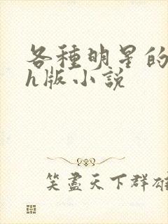 各种明星的综艺h版小说