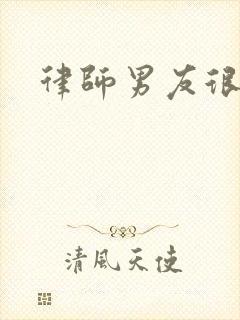 律师男友很难撩