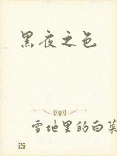 黑夜之色封面