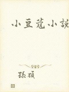小豆蔻小说