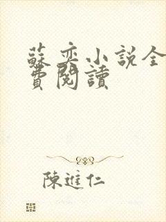 苏奕小说全文免费阅读