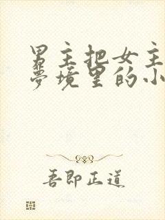 男主把女主拖进梦境里的小说