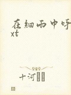 在细雨中呼喊txt