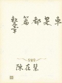 整篇都是车的文章