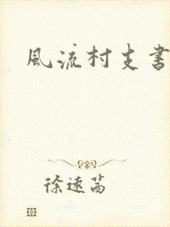 风流村支书封面