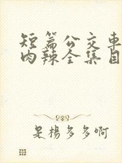 短篇公交车高h肉辣全集目录