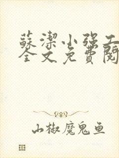 苏洁小强工地情全文免费阅读