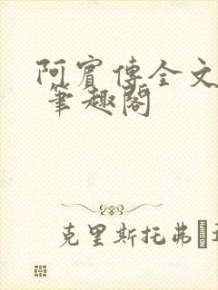 阿宾传全文阅读 笔趣阁封面