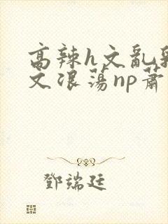 高辣h文乱乳h文浪荡np萧太后