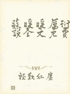 苏暖暖厉衍琛小说全文免费阅读