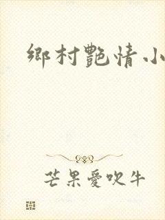 乡村艳情小说
