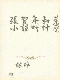 张贺年和叶繁姿小说叫什么名字