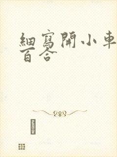 细写开小车车的百合