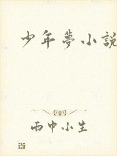 少年梦小说