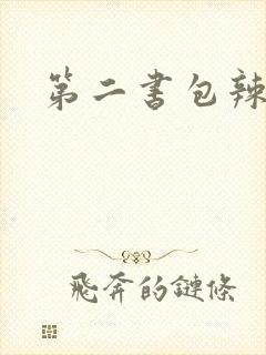 第二书包辣文