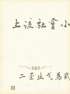 上流社会小说封面