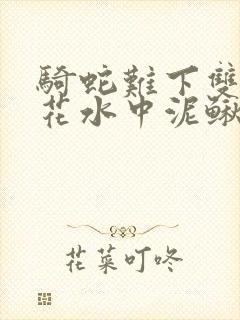 骑蛇难下双金银花水中泥鳅封面