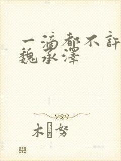 一滴都不许漏 魏承泽封面