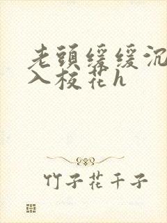 老头缓缓沉腰进入校花h封面