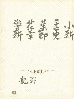 警花叶柔小说最新章节更新