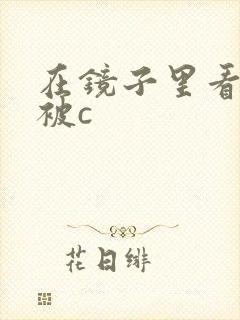 在镜子里看自己被c封面