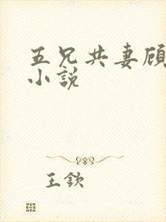 五兄共妻顾心儿小说