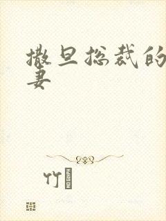 撒旦总裁的下堂妻封面