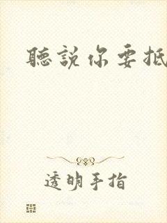 听说你要抵抗我封面