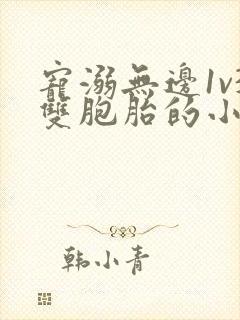 宠溺无边1v3双胞胎的小说