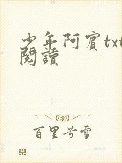 少年阿宾txt阅读