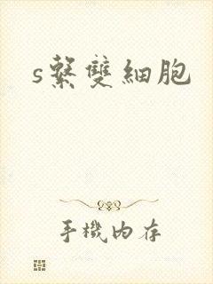 s系双细胞