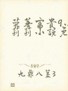 荣华富贵9小王莉莉小说免费阅读