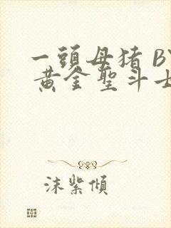 一头母猪 BY 黄金圣斗士封面