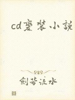 cd变装小说