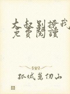 大叔别撩我小说免费阅读