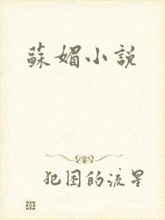 苏媚小说