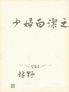 少妇白洁之封面