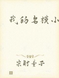 我的名模小娇妻