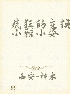 疯狂的交换小静小雅小姿封面