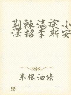 荆棘满途小说李泽招李斯安封面