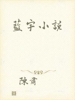 蓝宇小说