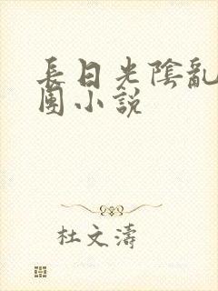 长日光阴乱作一团小说