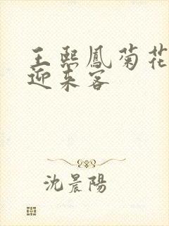 王熙凤菊花门初迎来客封面