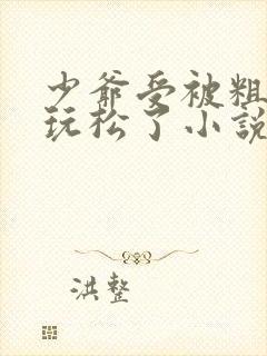 少爷受被粗汉H玩松了小说