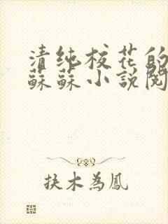 清纯校花的日常苏苏小说阅读全文