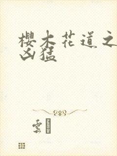 樱木花道之重生凶猛封面