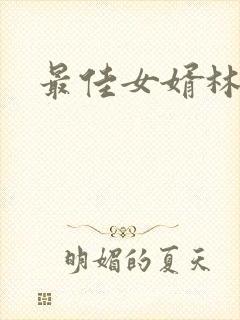 最佳女婿林凡封面