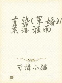 有染(军婚)/叶落淮南封面