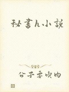 秘书h小说