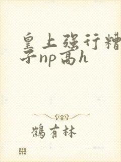 皇上强行糟蹋太子np高h封面